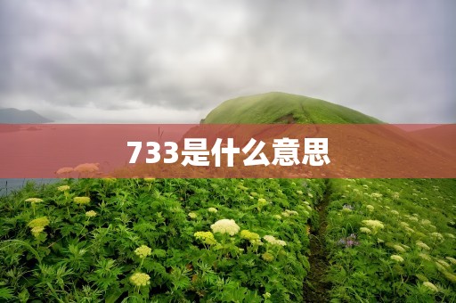 733是什么意思