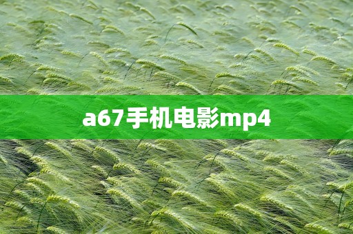 a67手机电影mp4