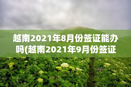 越南2021年8月份签证能办吗(越南2021年9月份签证能办吗)