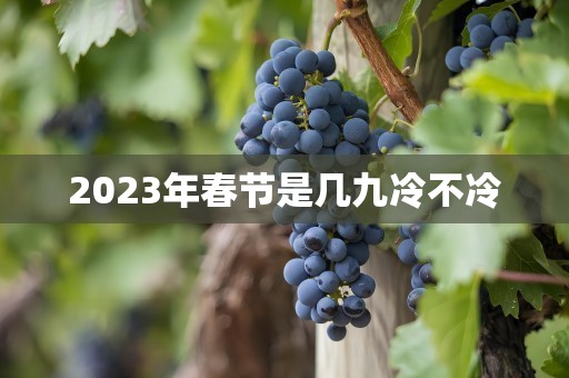 2023年春节是几九冷不冷