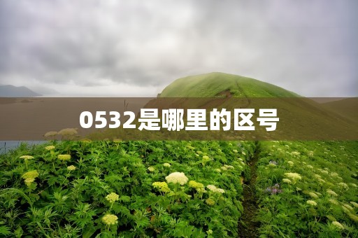 0532是哪里的区号