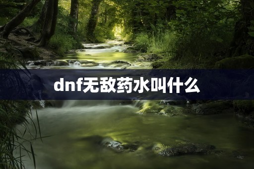 dnf无敌药水叫什么