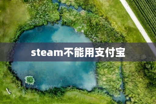 steam不能用支付宝