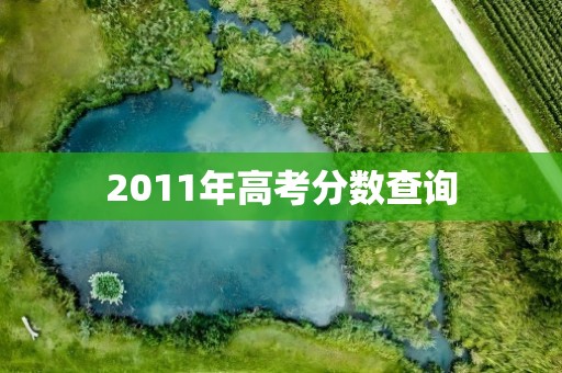 2011年高考分数查询