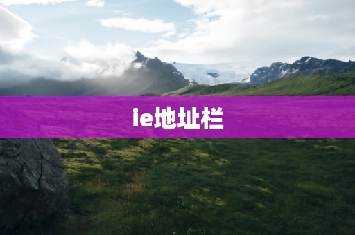 ie地址栏
