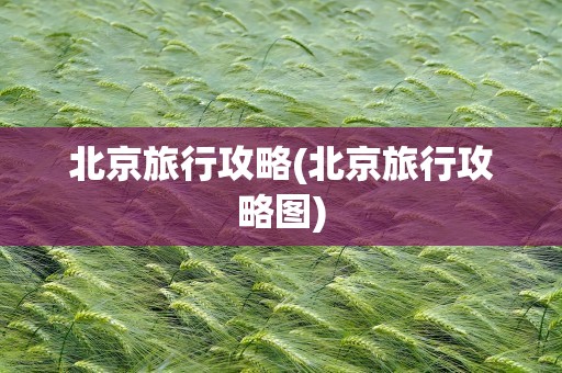北京旅行攻略(北京旅行攻略图)