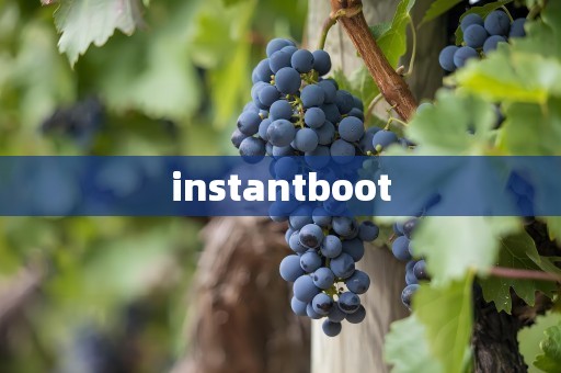 instantboot