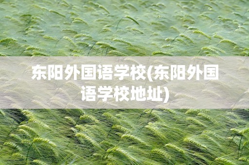 东阳外国语学校(东阳外国语学校地址)