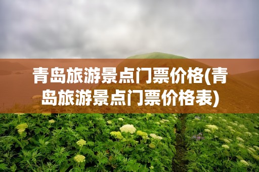 青岛旅游景点门票价格(青岛旅游景点门票价格表)