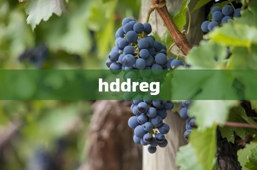 hddreg