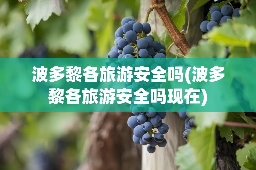 波多黎各旅游安全吗(波多黎各旅游安全吗现在)