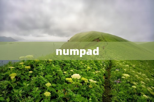 numpad