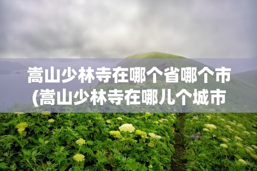 嵩山少林寺在哪个省哪个市(嵩山少林寺在哪儿个城市)