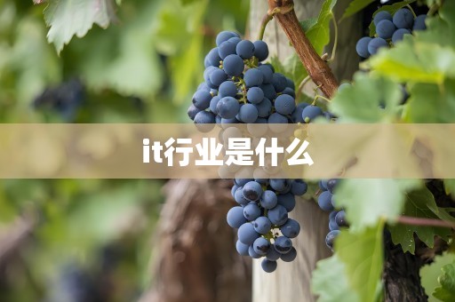 it行业是什么