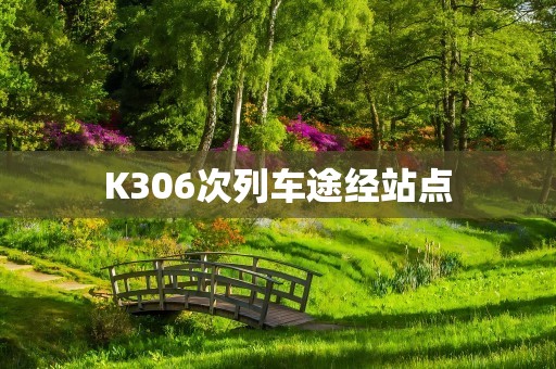 K306次列车途经站点
