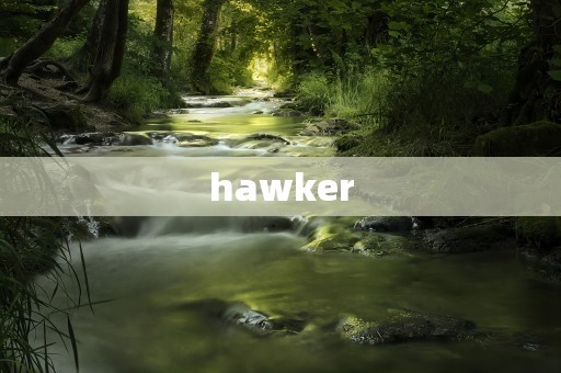 hawker