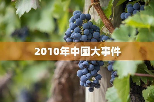 2010年中国大事件