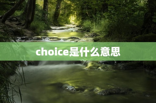 choice是什么意思