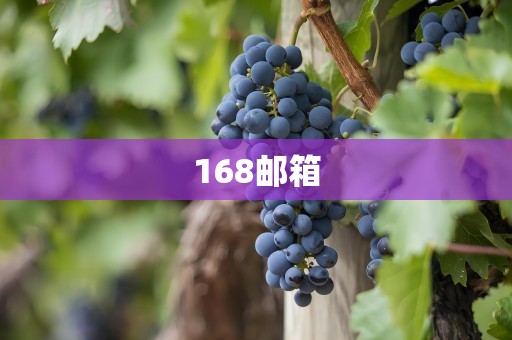 168邮箱