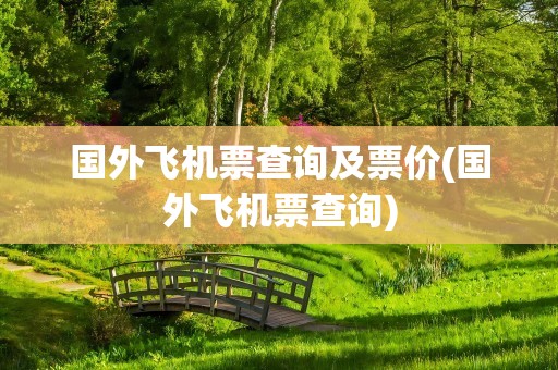 国外飞机票查询及票价(国外飞机票查询)