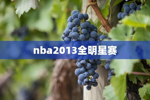 nba2013全明星赛