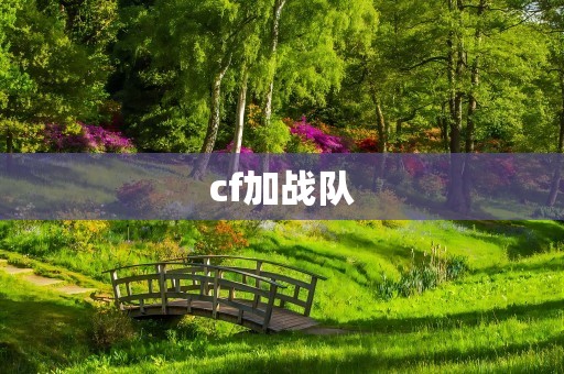 cf加战队