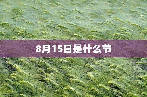 8月15日是什么节