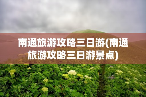 南通旅游攻略三日游(南通旅游攻略三日游景点)