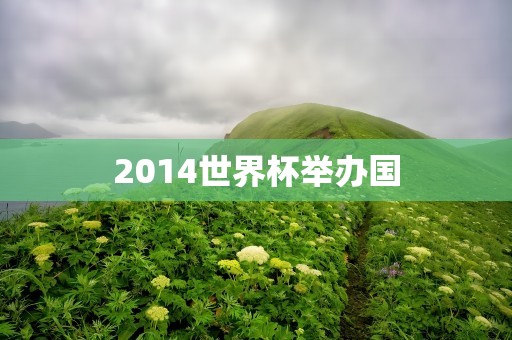 2014世界杯举办国