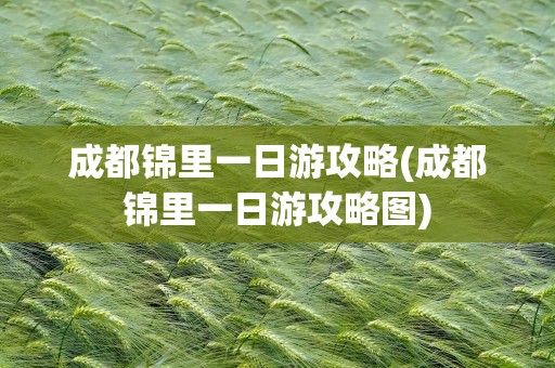 成都锦里一日游攻略(成都锦里一日游攻略图)