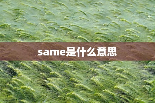 same是什么意思