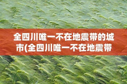 全四川唯一不在地震带的城市(全四川唯一不在地震带的城市是)