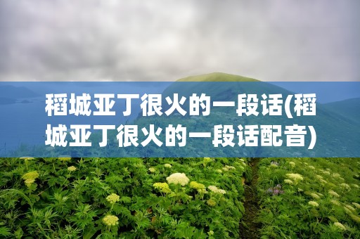 稻城亚丁很火的一段话(稻城亚丁很火的一段话配音)