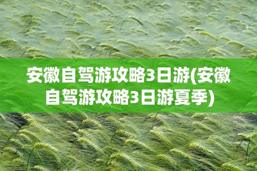 安徽自驾游攻略3日游(安徽自驾游攻略3日游夏季)