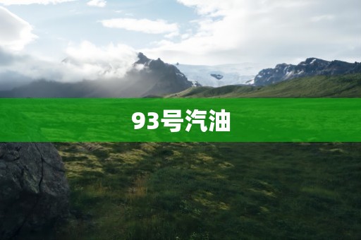 93号汽油