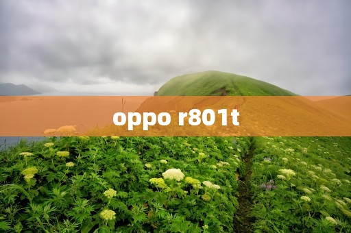 oppo r801t