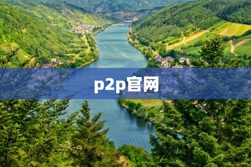 p2p官网