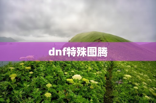 dnf特殊图腾