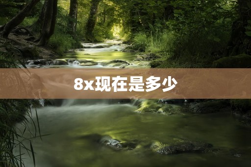8x现在是多少