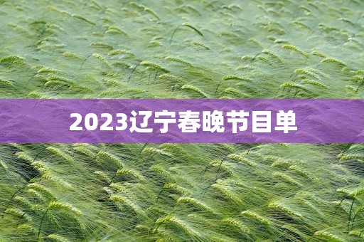 2023辽宁春晚节目单