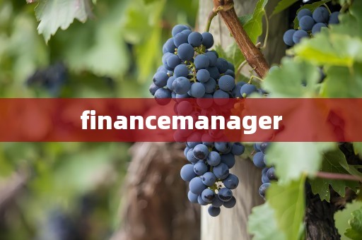 financemanager