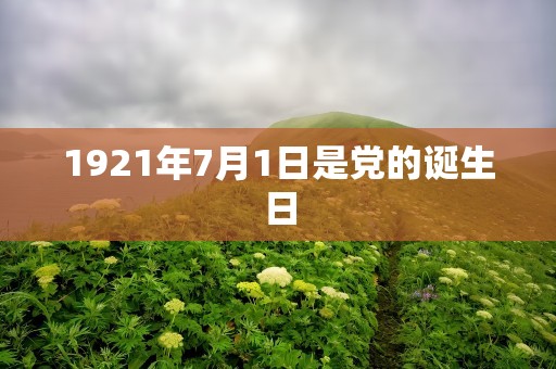 1921年7月1日是党的诞生日