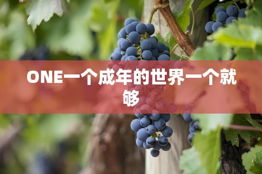 ONE一个成年的世界一个就够