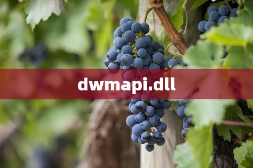 dwmapi.dll