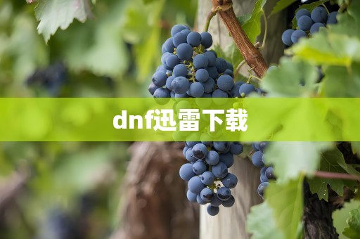 dnf迅雷下载