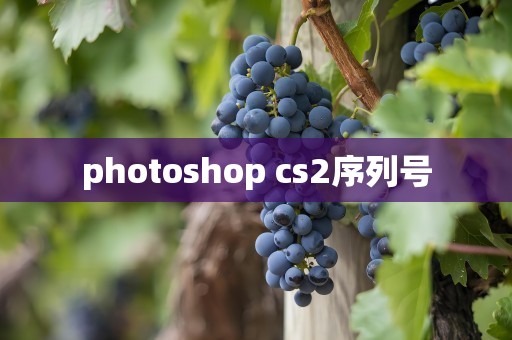 photoshop cs2序列号