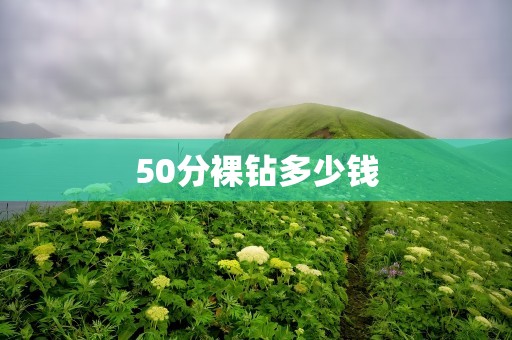50分裸钻多少钱