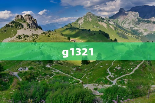 g1321
