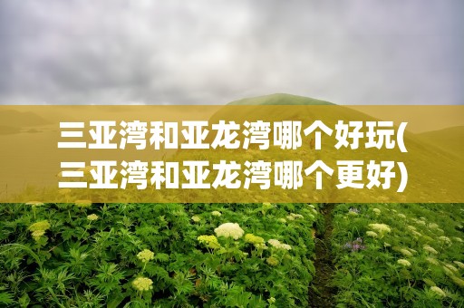 三亚湾和亚龙湾哪个好玩(三亚湾和亚龙湾哪个更好)