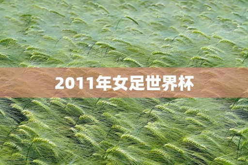 2011年女足世界杯